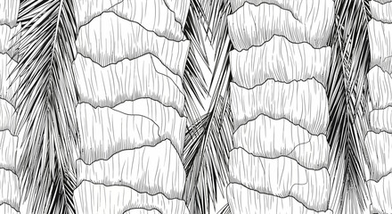 Palm tree trunk and leaves detailed black and white illustration. © Vektor