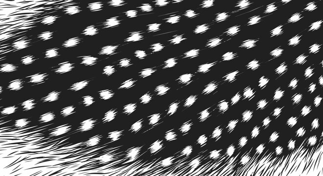 Close up of guinea fowl feather pattern.