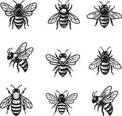  hony bee set vector icon 
