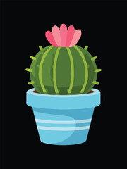 Flowering Green Barrel Cactus with Pink Bloom in Striped Blue Pot on Black Background
