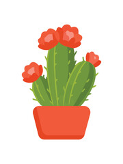 Tall Flowering Cactus with Multiple Red Blooms in Red Pot Illustration