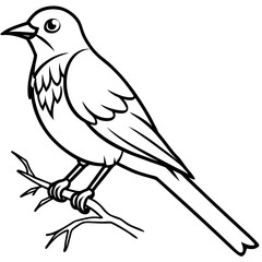 Illustration of a bird perched on a branch