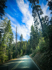 Road Through Forest with Blue Sky and Clouds