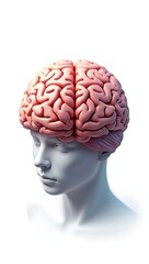 Obraz premium A half-drained battery icon shaped like a human brain, symbolizing mental exhaustion; isolated on white background.