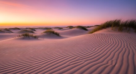 Rippled sand dunes under a pastel sunset sky with ocean horizon and dune grass
