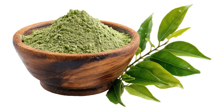A wooden bowl filled with finely ground green powder beside a branch