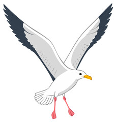 Obraz premium White seagull with dark tipped wings in flight with webbed feet dangling