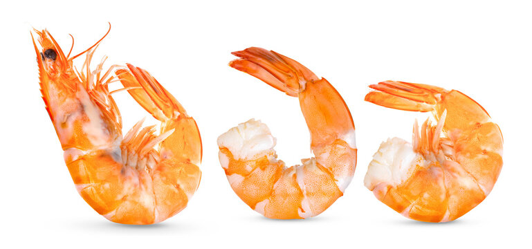 Cooked shrimps isolated on transparent png ( omage from camera )