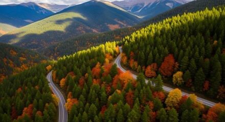 Winding road through a vibrant forest with trees displaying autumn foliage and distant mountains