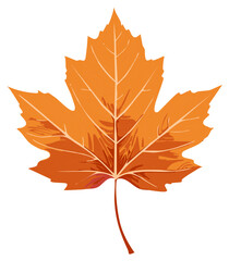 Fototapeta premium Orange maple leaf illustration isolated on white background for autumn or fall designs.
