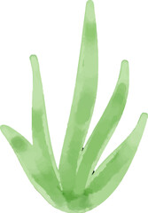 watercolor style green leaf branch floral bush sprout clover seamless pattern on white background