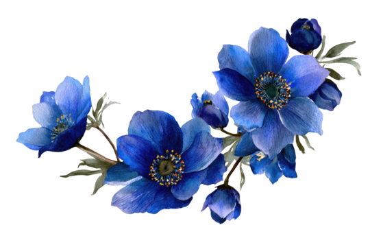 Watercolor illustration of vibrant blue flowers, delicate leaves on a dark background