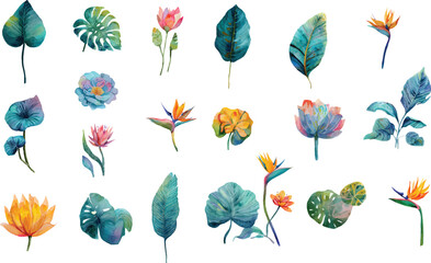 set of colorful flowers leaf