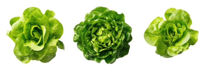 Three heads of vibrant, leafy green lettuce against a stark black background, isolated