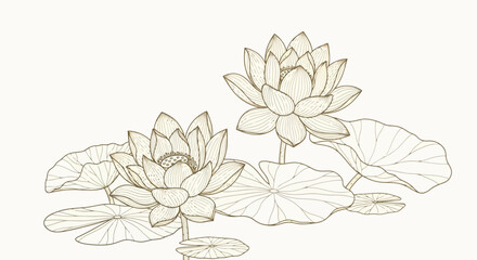 Elegant Water Lilies Illustration Nature's Delicate Beauty in Detailed Botanical Art