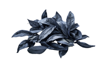 A collection of stylized leaves, rendered in monochromatic shades of blue, arranged on black