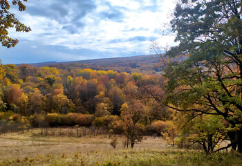 Obraz premium Autumn in the countryside, the morning sun warming the ground that had cooled during the night