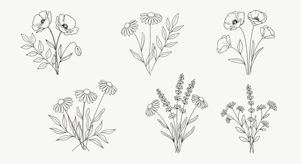 Elegant Line Art Floral Arrangements Delicate Poppy, Daisy & Lavender Bouquets for Design
