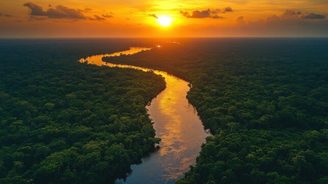 Amazon River at Sunset - A Serene Aerial View of the Rainforest.