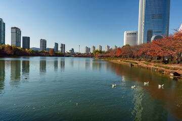 가을이 지나간 석촌호수의 동호 풍경=석촌호수, 잠실 송파구 서울