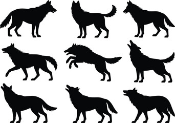 Wolf silhouette collection, wild animal poses, howling, walking, leaping, standing, black vector wolves, wildlife illustration, predator design elements