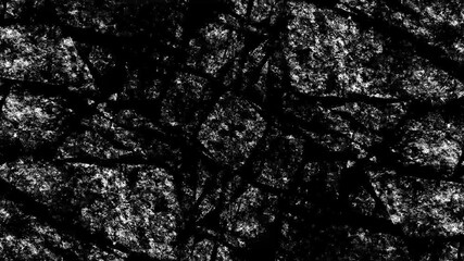 grunge collage retro vintage stone wall texture animation, abstract background for scratches, noise and dust effect - Powered by Adobe