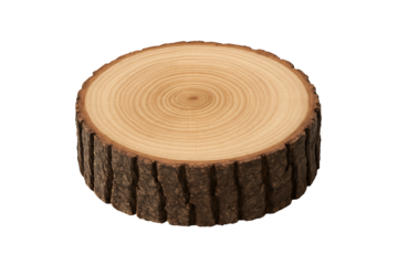 A fresh round pine wood log slice with natural bark edge clearly showing detailed annual growth rings, isolated on transparent background