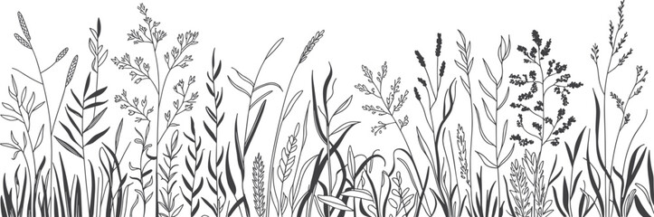 Wild meadow grass silhouettes, botanical plant line art collection, natural foliage illustration set, decorative floral elements for design, nature graphics