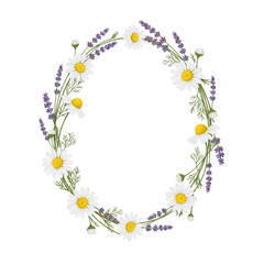 Fototapeta premium Daisy and lavender floral oval frame isolated on transparent background