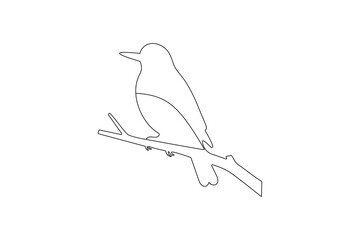 Bird couple continuous one line drawing minimalist outline vector illustration

