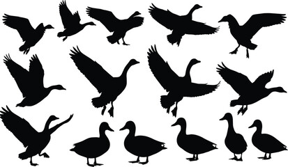 Black duck silhouette vector collection, flying bird illustration set, standing waterfowl, walking animal, wildlife design, nature artwork, decorative graphic element