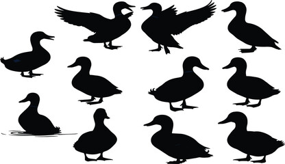 Black duck silhouette vector collection, flying duck illustration set, swimming waterfowl, standing bird, wildlife design, nature animal graphic, decorative artwork