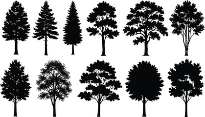 Black tree silhouette vector collection, forest illustration set, coniferous pine, deciduous oak, nature landscape design, woodland, botanical graphic art