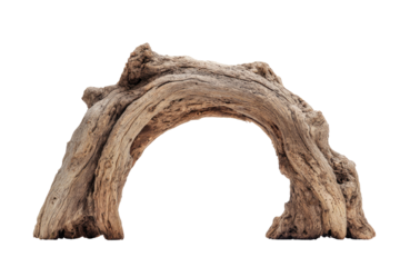 Weathered driftwood archway against black