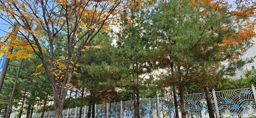 The glow of autumn leaves, autumn landscape, the reds and browns of the woods, leaves with red and gold autumn tints, the dead leaves of autumn, autumn background, autumn backgrounds