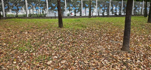 The glow of autumn leaves, autumn landscape, the reds and browns of the woods, leaves with red and gold autumn tints, the dead leaves of autumn, autumn background, autumn backgrounds