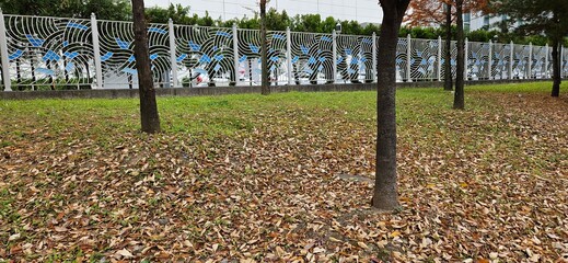 The glow of autumn leaves, autumn landscape, the reds and browns of the woods, leaves with red and gold autumn tints, the dead leaves of autumn, autumn background, autumn backgrounds