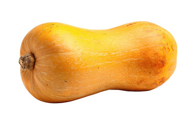 A whole, elongated, golden-orange squash with a brown stem