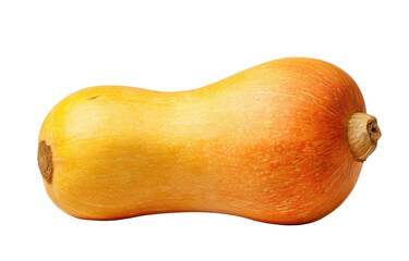A single ripe butternut squash with smooth skin, on a transparent background