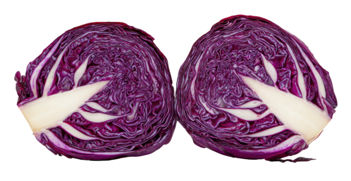 Two halves of a vibrant purple cabbage cut in half