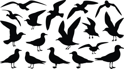 Bird silhouette illustration set, flying and perched poses, nature icon, wing motion, avian graphic, wildlife shape, animal design