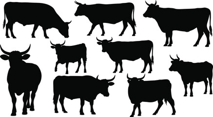 Cow silhouette illustration set, walking and standing poses, livestock icon, farm animal graphic, rural nature shape, domestic cattle