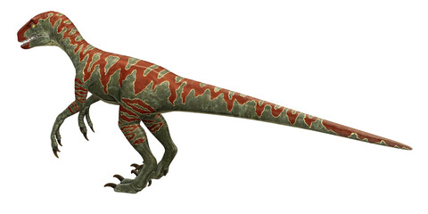 Colorful dinosaur with striking patterns