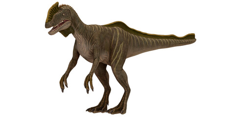 Realistic dinosaur illustration on white background