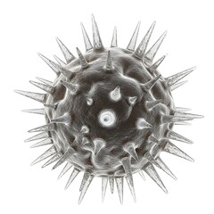Detailed close up rendering of a spiky pathogen cell on white backdrop