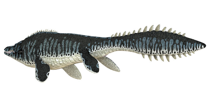 Illustration of the ancient sea predator Dakosaurus.
