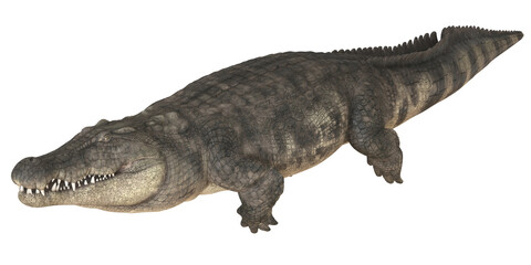 Realistic depiction of a crocodile in motion.