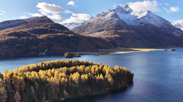 Scenic aerial of golden autumn larches on a small island in Lake Sils, Engadin Valley, Switzerland, set against snow-capped Alps. Tranquil alpine travel, nature, and scenic background footage.
