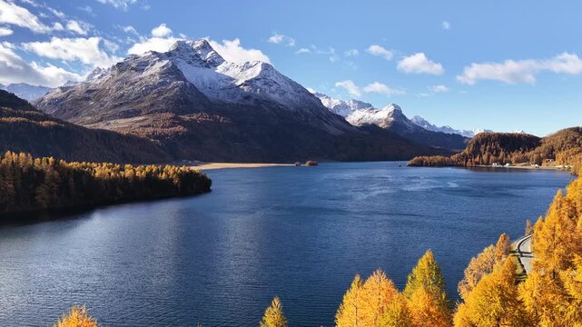 Silsersee lake with golden larch trees in autumn, snow-capped mountains and blue water in Engadin valley landscape.