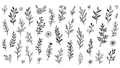 A beautiful collection of hand-drawn vector botanical doodles. Set of branches, leaves, and simple flowers isolated on a white background